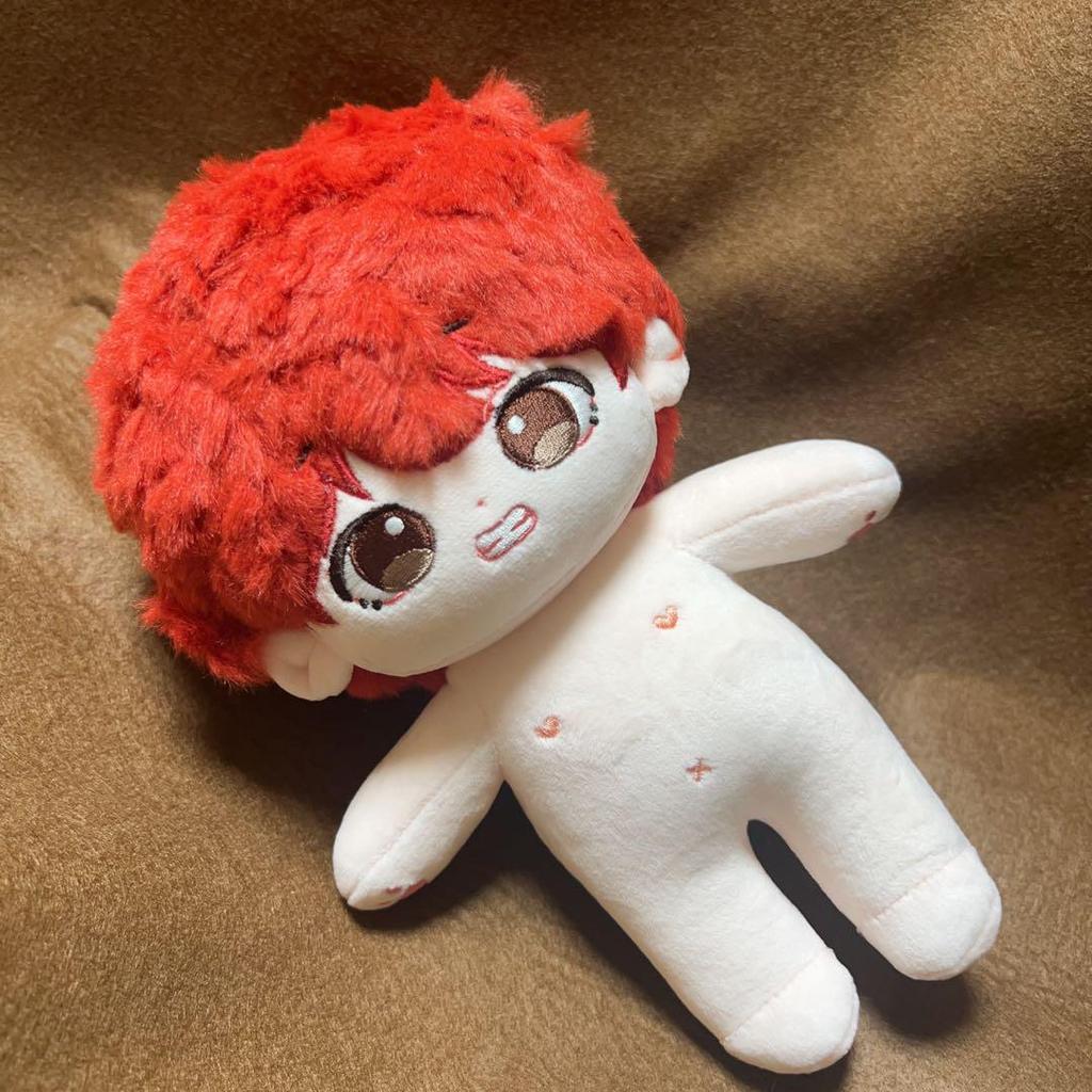 [USED] BTS V 20cm Plush Toy Master