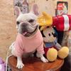 Pet Hoodie French Bulldog Pug Schnauzer Teddy Corgi Winter Warm Fleece Pink Bear Design Small Dog Clothes