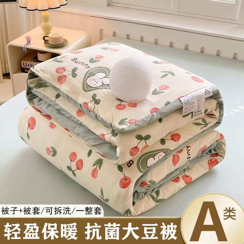 Sleeping Grid Printed Washed Cotton, Removable and Washable Soybean Fiber Quilt Core, Winter Quilt, Spring and Autumn Quilt