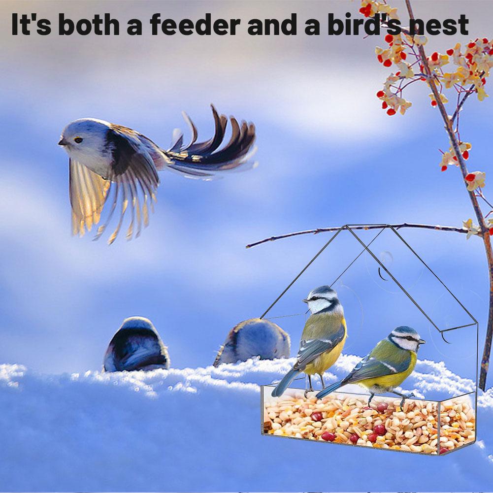 Suction Cup Bird Feeder Outside Hanging Acrylic Bird Feeder With Suction Cup Suitable For Outdoor Garden Backyard Wildlife Use