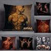 Singer Pac Pillow Case Square DoubleSided Printing Sofa Cushion Cover Pillowcase Bedroom Bedside