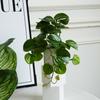 Artificial Turtle Back & Caladium Leaf Plants - Small Potted Decorations for Office, Living Room, or Coffee Table
