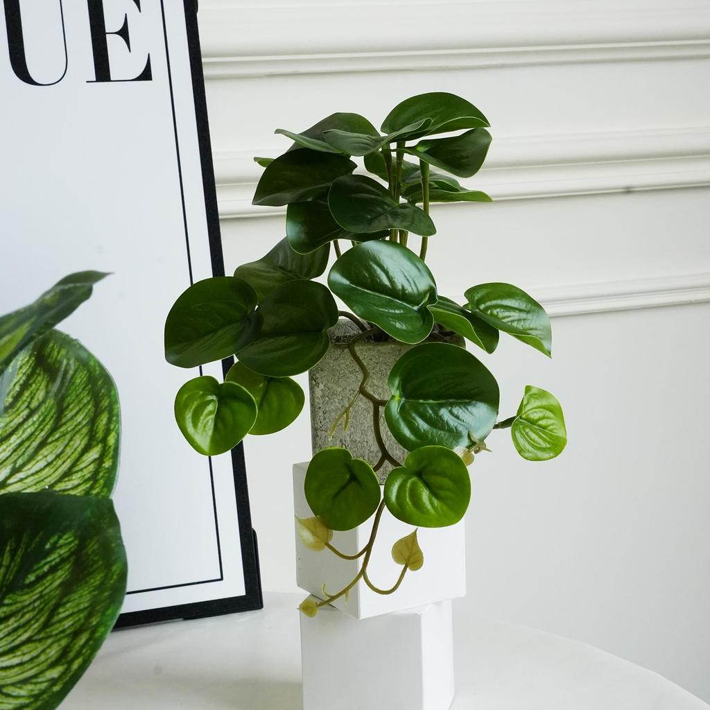 Artificial Turtle Back & Caladium Leaf Plants - Small Potted Decorations for Office, Living Room, or Coffee Table