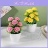 Pot Plastic Flower With Twelve Ball Chrysanthemum For Indoor Decoration