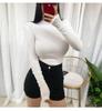 Women's Sheer High Neck Long Sleeve Korean T-shirt - Thin, Skin-friendly, Sexy Base Layer
