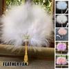 Party Decor Fairy Feather Fan Handheld Craft Fan Elegant Dance Hand Fan Costumes Props