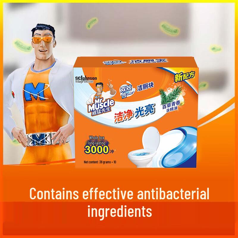 Mr Muscle Toilet Cleaner Blocks