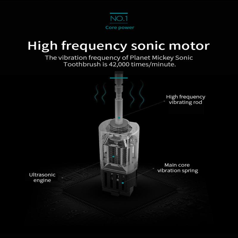 Sonic Elektrische Zahnbürste für Erwachsene Ipx7 Wasserdicht Mit 4 Bürstenköpfen USB Wiederaufladbar Hochfrequente Reinigung 6 Reinigungsmodi