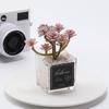 1 PC Simulation Mini Glass Flocked Succulent Potted Planter, Home Living Room Desk Office Ornament, Holiday Gift