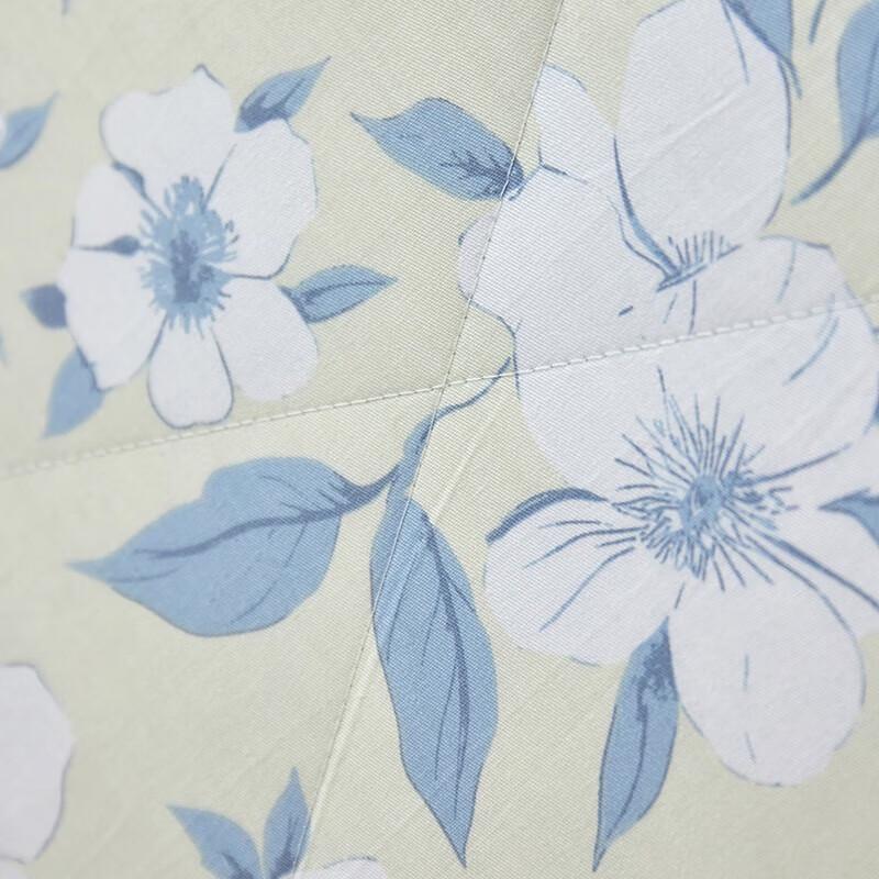 Taihu Snow Tussah Silk & Cool Fiber Quilt