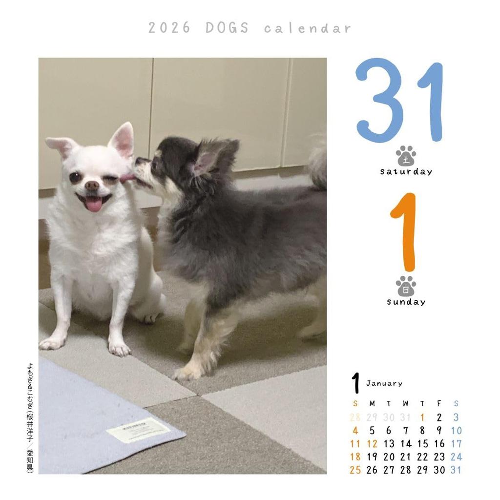 Dog Calendar 2026 Daily Refill, Calendar, CK-D26-02