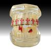 Stylish Hip Hop Grillz Set: Red Diamond Cross & Lightning Gold