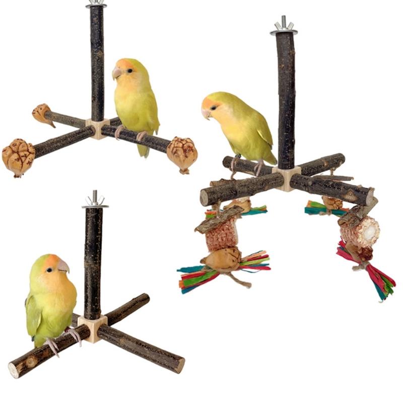 Bird Perch Nature Molar Stand for Parrots Conure Supplies Budgies Grinding Scratchers for Small Medium Parrots Toy