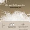 Atour Planet 95% White Goose Down All-Season Duvet