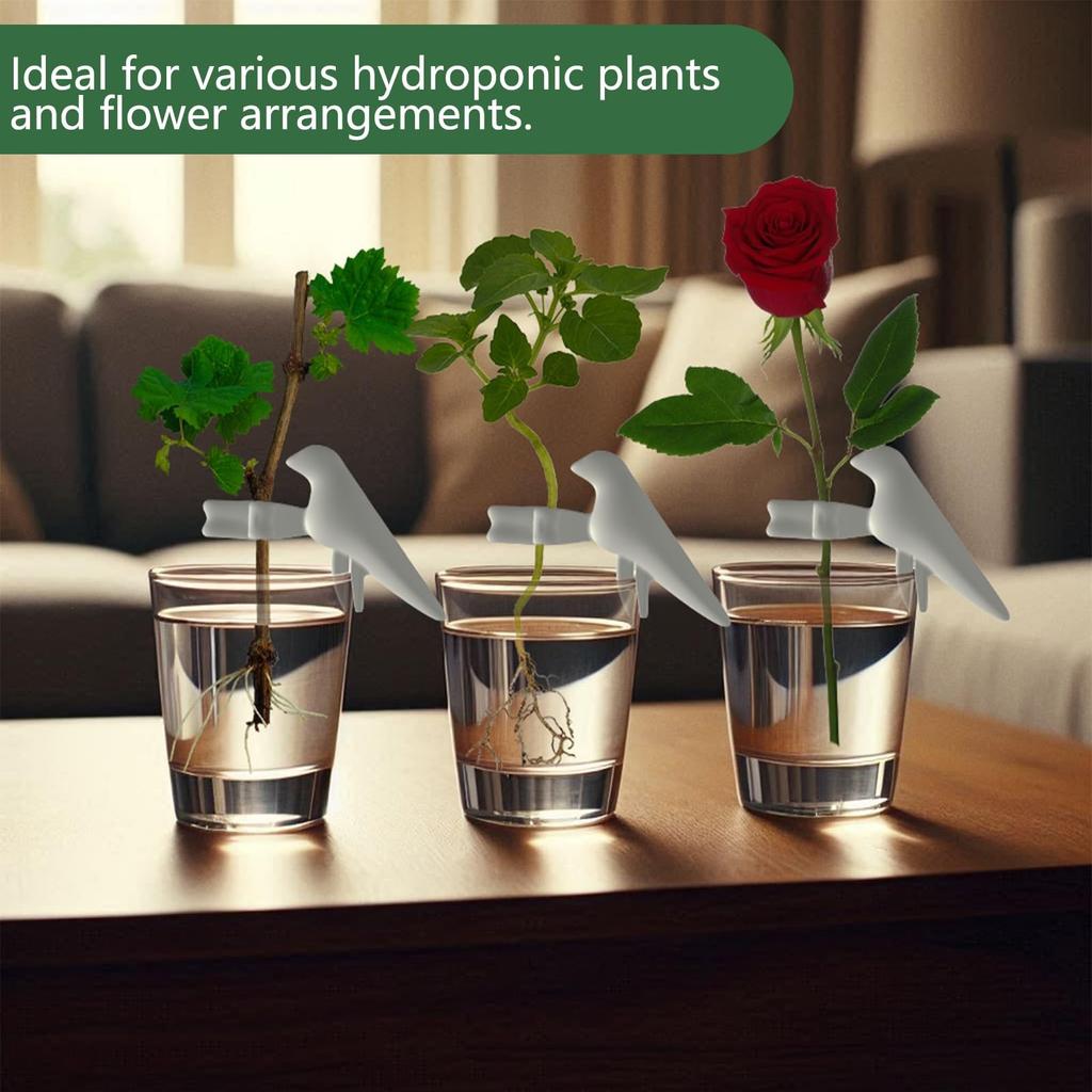 Plant Propagation Station-Plant Support For Cuttings, Shoots, Stems, And Sprouts, Plant Stem Support,Plant Propagation