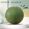 Catnip Ball Teething Cat Toy Set
