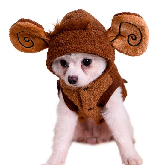 monkey dog costume