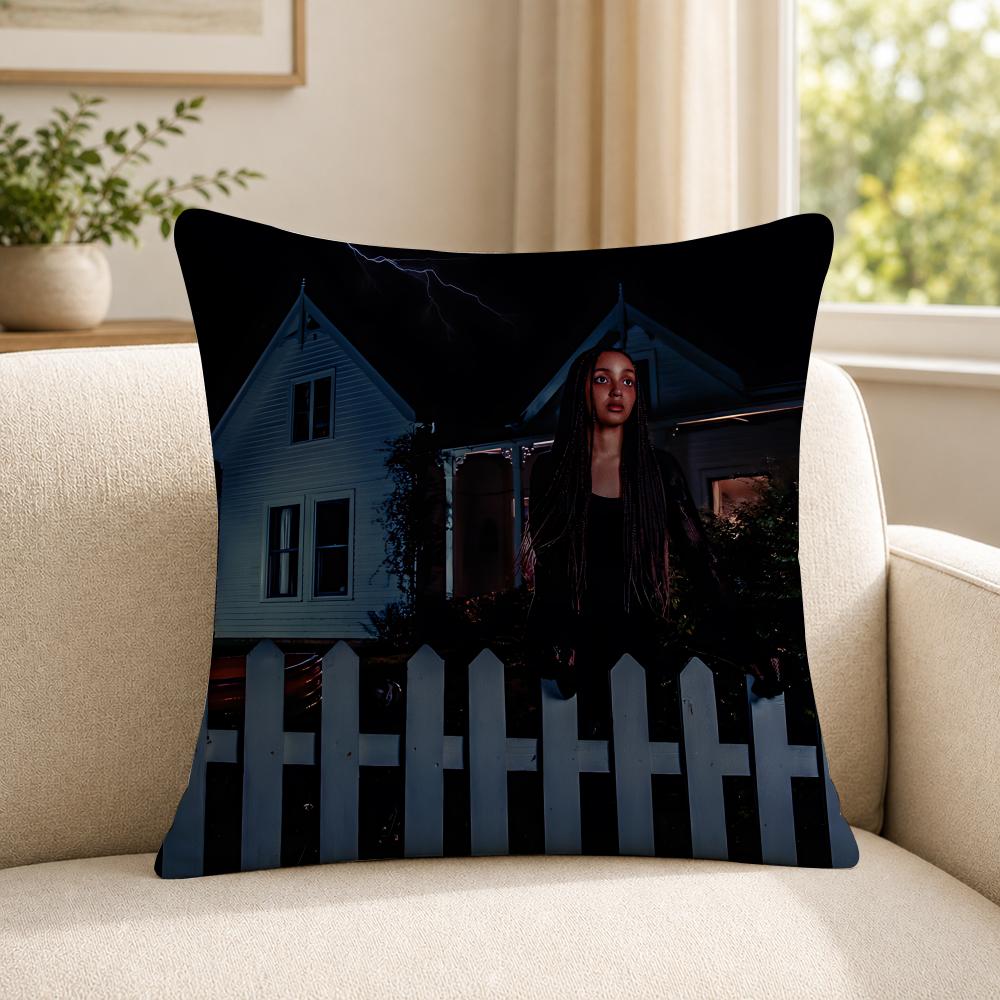 Singer PPink PPantheress Cushion Cover Soft Short Plush SkinFriendly Cushion Case for MultiScene Use