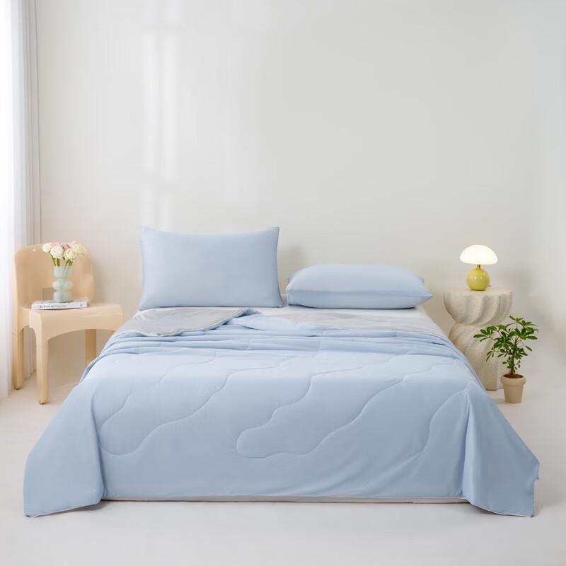 LISM Cool Silk Summer Quilt