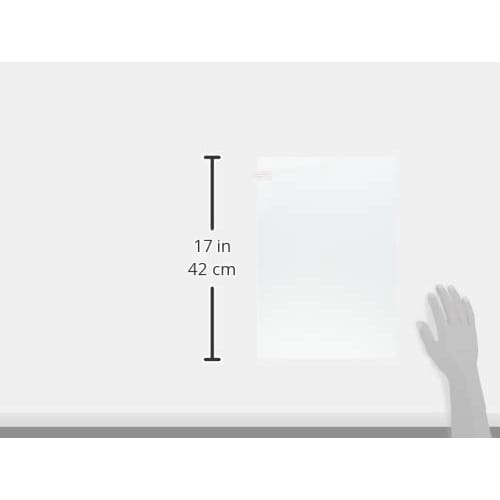 Optical security film transparent 2p W280 x H410 BGF4229