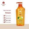 Fenghua Ginger Hair-Strengthening Shampoo Twin Pack