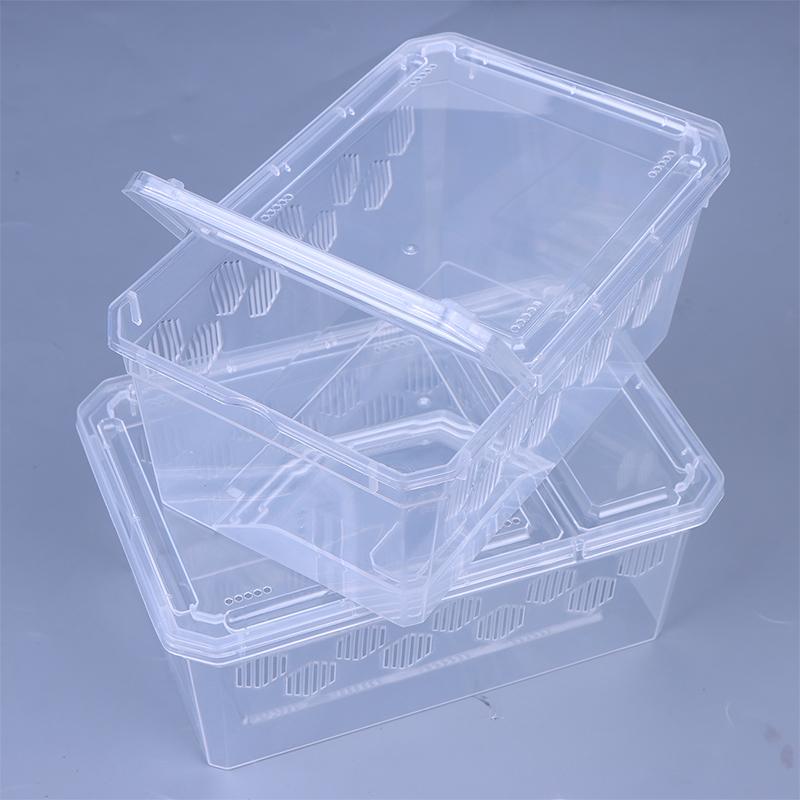 Reptile Tank Insect Spiders Tortoise Lizard Plastic Transparent Reptile Breeding Box Vivarium With Balcony Feeding Supplies