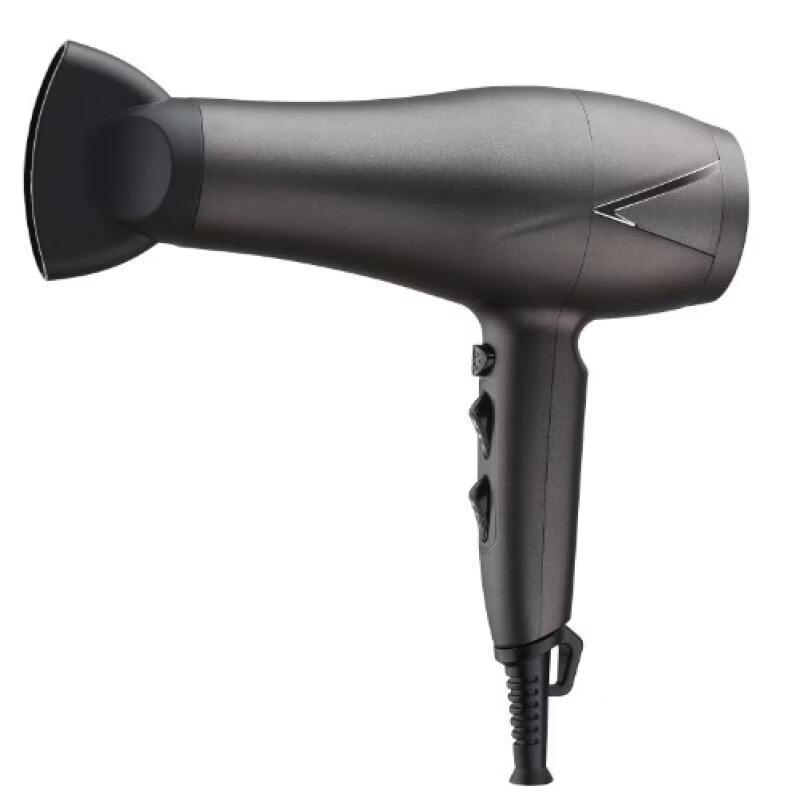 LISM Negative Ion Hair Dryer