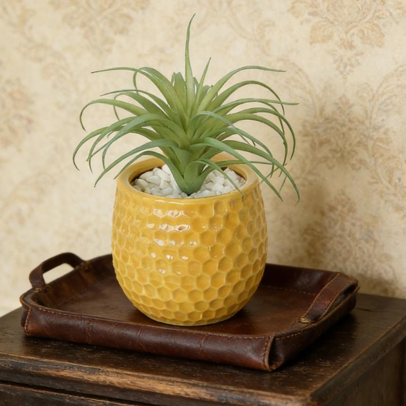 Realistic Faux Tillandsia Succulents Artificial Air Plant For Indoor Home Office Green Plant for Shelf Desk Decoration