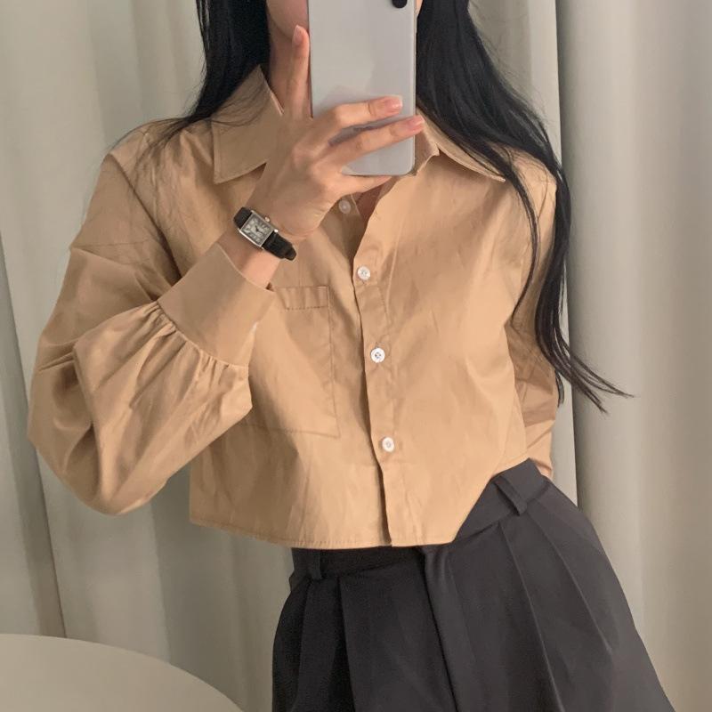 Ladies' Shirt Comfortable and Versatile Early Fall Short Section Inside The White Shirt Female Long-sleeved Shirt Temperament Elegant Fashion Top