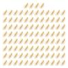 Pack of 100 Natural Seashells Charm Sea Shell Accessories for Handmade Bracelets and Necklaces Jewelry Components