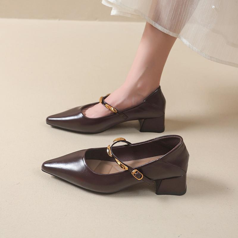 Fashion New Women's Designer Vintage Pointed Toe Women Mary Jane Shoe Fashion Shallow Buckle Shoes Ladies Elegant Dress Thick Heel Shoes