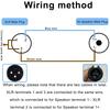 HAAMNING7 Speakon to XLR Cable, Speakon Male to XLR Male 3-Pin Cable, 22AWG Audio Speaker Adapter Extension Cord with Twist Lock, for Amplifiers,