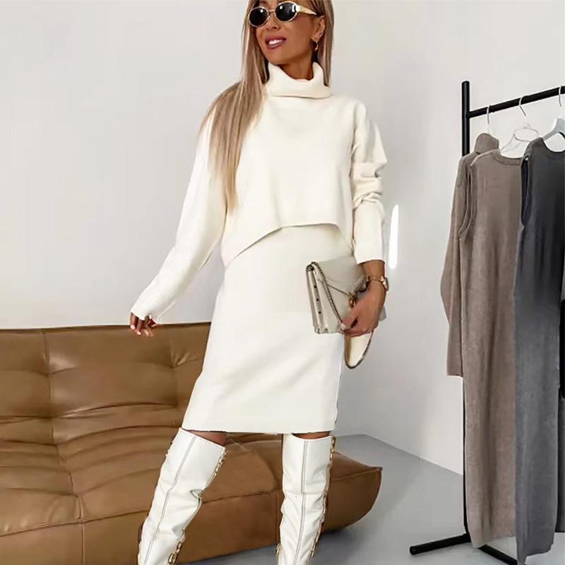 Women Turtleneck Sweater Dress Long Sleeve Loose Fit Knit Mini Dress Solid Color Casual Pullover Dress