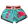 Thai Boxing Sanda Training Fighting Shorts Muay Thai Free Fighting Cartoon Men's and Women's Fitness Sports Martial Arts Pants