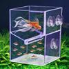 Double Layer Aquarium Breeder Box Clear Fish Breeding Isolation Box  Betta