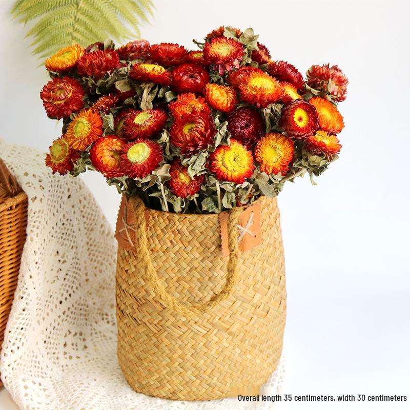 Daisy Dried Flower Bouquet for Living Room and Bedroom Décor - Natural Yunnan Flowers for Display or Photo Props