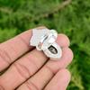 Natural Turritella Agate New Solitaire Handmade Ring Jewelry 925 Sterling Silver