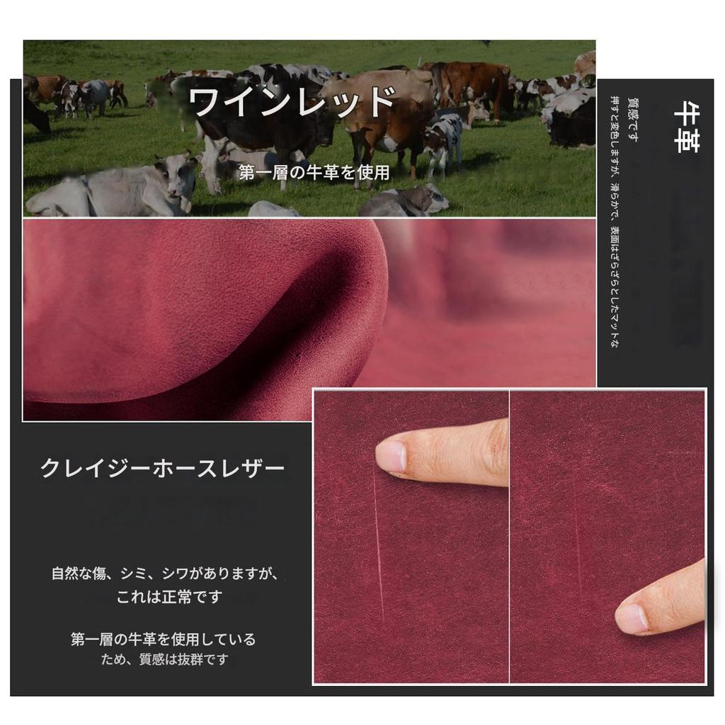 Series Passport Case for Domestic and International Large Fits 88x125mm Wine Red Contact's Ultra-Slim Travel, Anti-Theft, Security, Capacity,