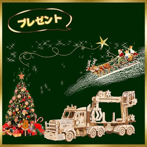 Hallisun 3D Wooden Puzzle, Truck Crane, 3D Puzzle, Wood Puzzle, Car, Moving Wooden Car, Mechanical Craft, DIY, Adult, Birthday, Assembly Kit, 3D Puzzl