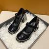 Round Head Thick Heel Single Shoes Small Waterproof Table High Heel Small Leather Shoes 2025 New French Retro Mary Jane Shoes Women