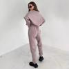 2023 Pink Sport Fleece Sweatshirt & High Waist Sweatpants Set - European & American Autumn Fashion for Women