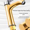 BOONEN Single Handle Hot & Cold Basin Faucet