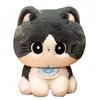 Doll Plush Toy Doll Magic Cat Cute Anime Peripheral Kitten Gift Cartoon Doll Children's Pillow