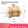 Copper Horizontal Bathroom Double Backflow One-Way Check Valve, Household Water Pipe Fittings, Non-Return Valve, 4/6 inch (DN20/25).