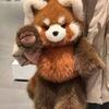 Cute Highland Raccoon Plush Toy - Huggable Running Red Panda Stuffed Animal Made With Premium Soft Fabric, Soothing Companion