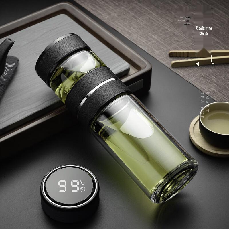 

Premium Smart Temperature Display Tea Infuser Glass Thermos