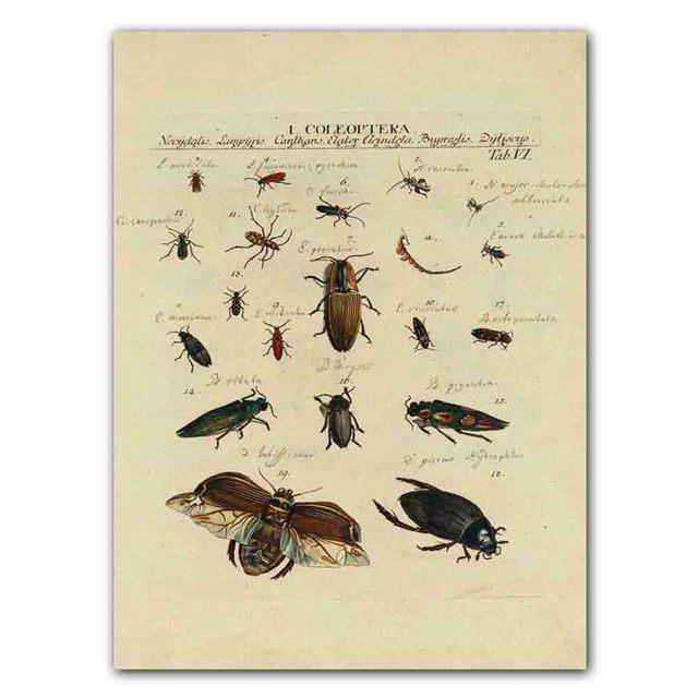 Nordic RETRO Art Canvas Painting Butterfly Insect Evolution Poster Living Room Corridor Wall Painting Home Decoration Mural No Frame