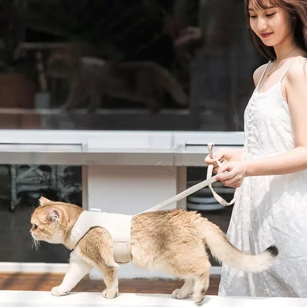 Brust Rücken Leine Verstellbare Länge Haustier Traktion Hunde Traktionsseil Halsband Gürtel Dropshipping Zubehör