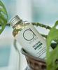 Polish Oil Light 150ml