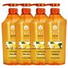 Fenghua Gember Haarversterkende Shampoo